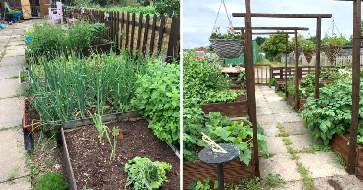 Potters Den allotment in Blackpool is ready for visits - and needs ...